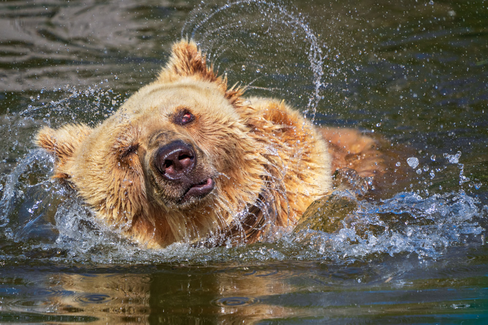 Jule taking a bath