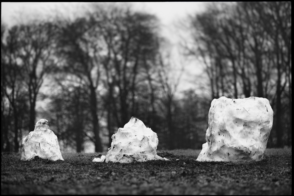 survivors - melting snowmen at teutoburg forest
