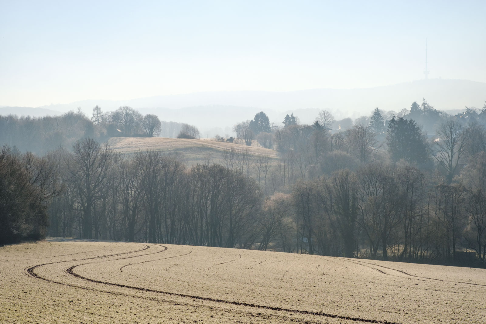 Fields at the Teutoburg Forest on a January morning (Bielefeld, Germany).