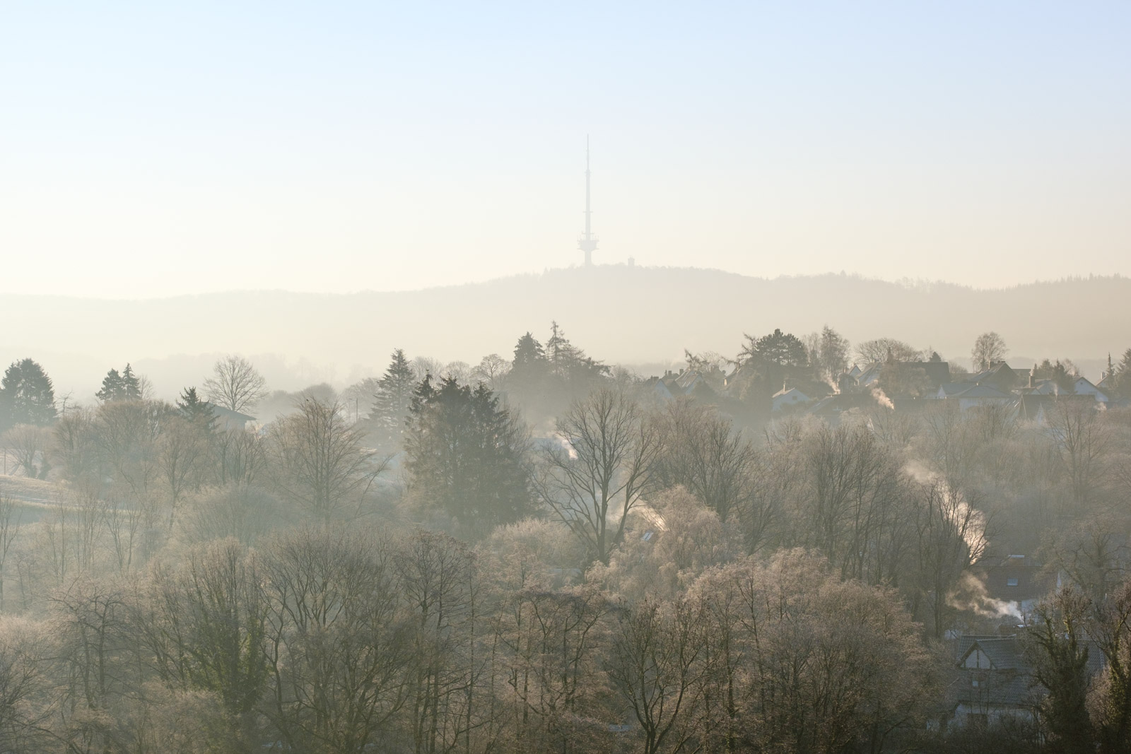 Winter morning at the Teutoburg Forest near Kirchdornberg (Bielefeld, Germany).