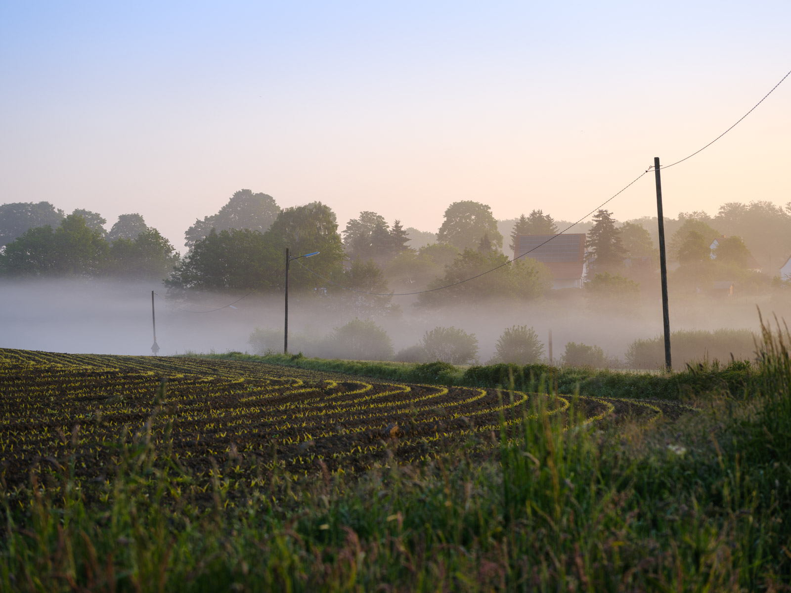 Morning mist over the fields near Kirchdornberg in May 2021 (Bielefeld-Dornberg, Germany).