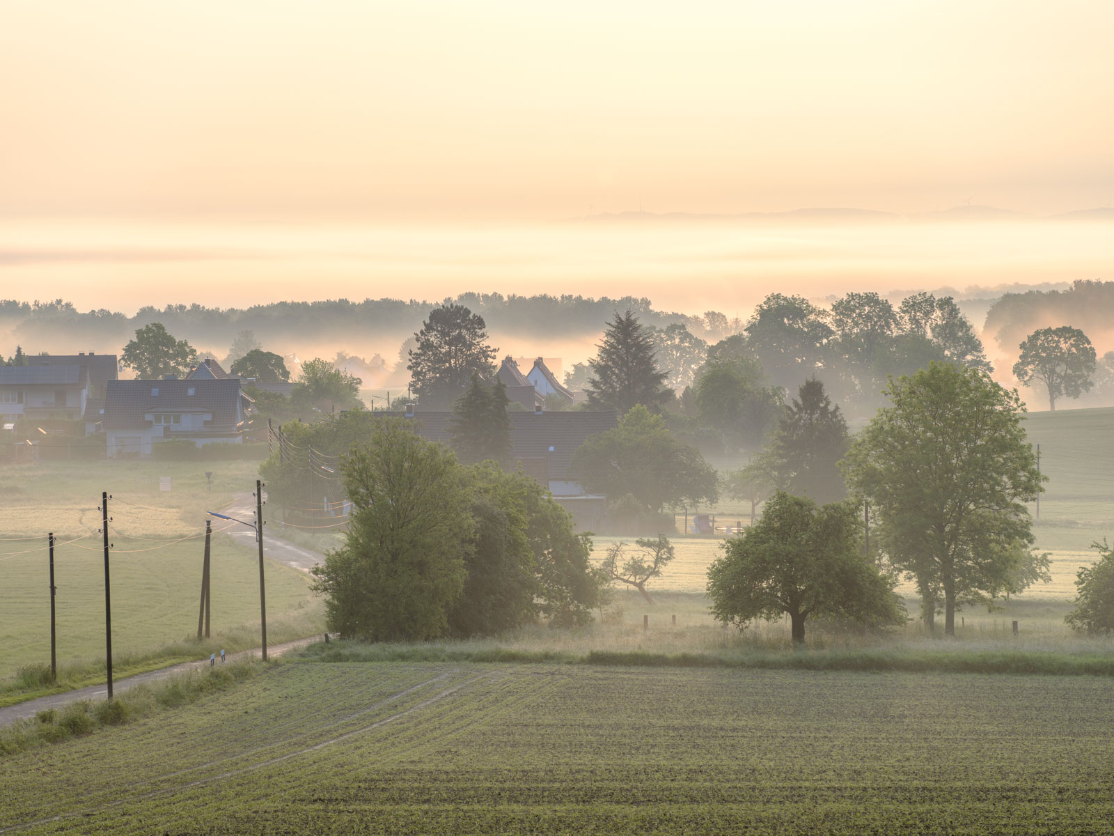 Morning haze over the fields at the Teutoburg Forest near Kirchdornberg on June 4, 2021 (Bielefeld, Germany).