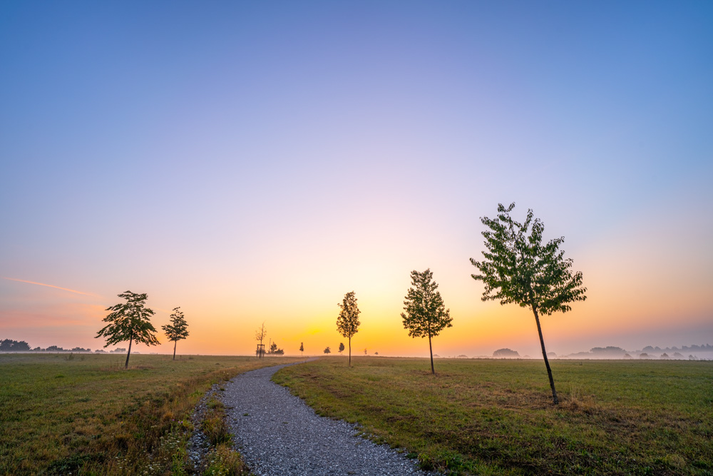 Break of dawn - Johannisbachaue