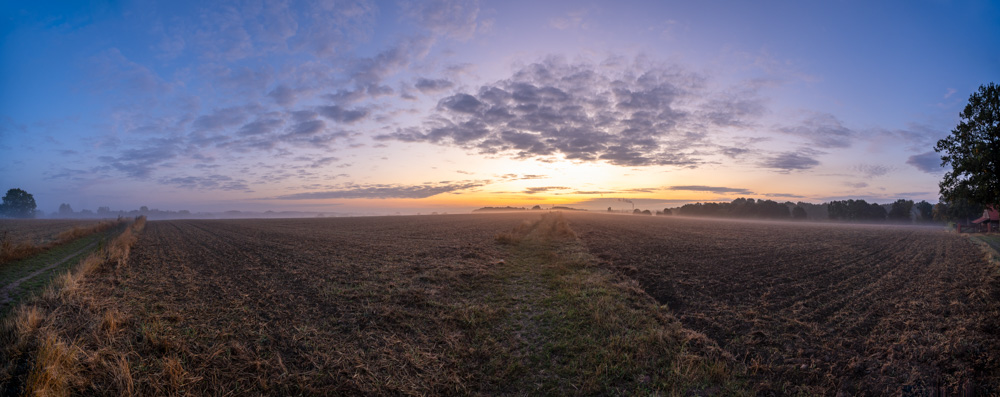 Panorama:A sunrise in September 2019 in the fields near 'Meyer zu Eissen' in Bielefeld (Germany).