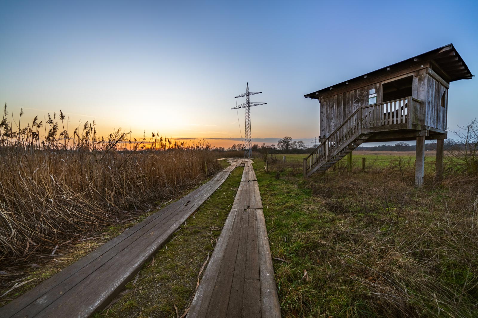 Evening in January in the nature reserve 'Rieselfelder Windel'.