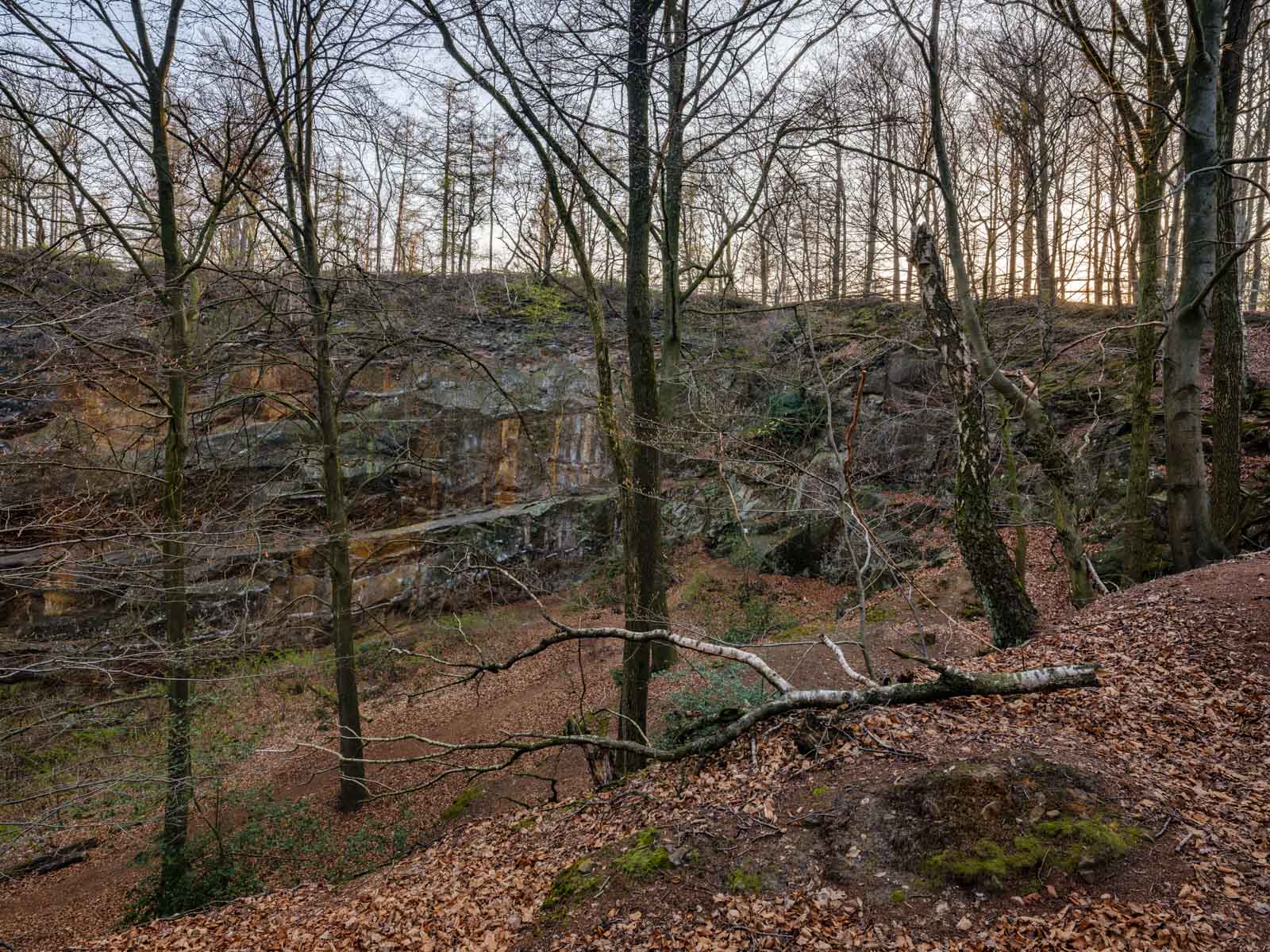 Old quarry in the Teutoburg Forest ('Halleluja' quarry) near Bielefeld (Germany).