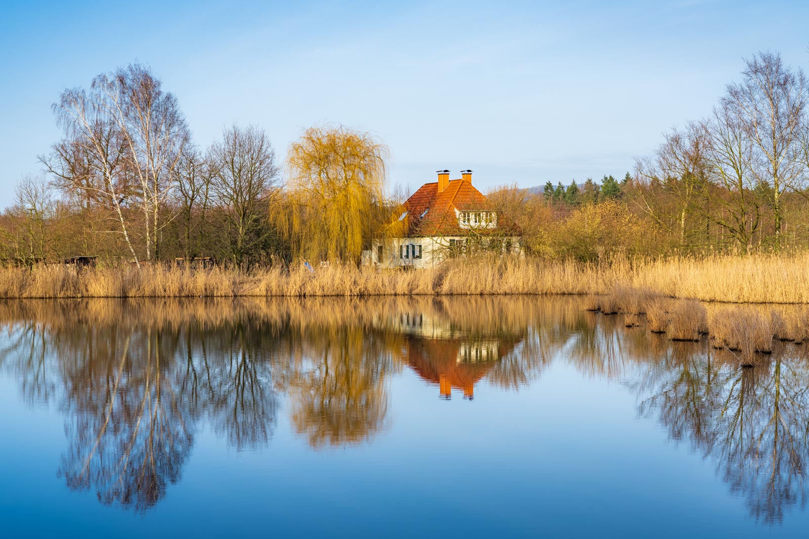Reflection in a pond at 'Rieselfelder Windel'.