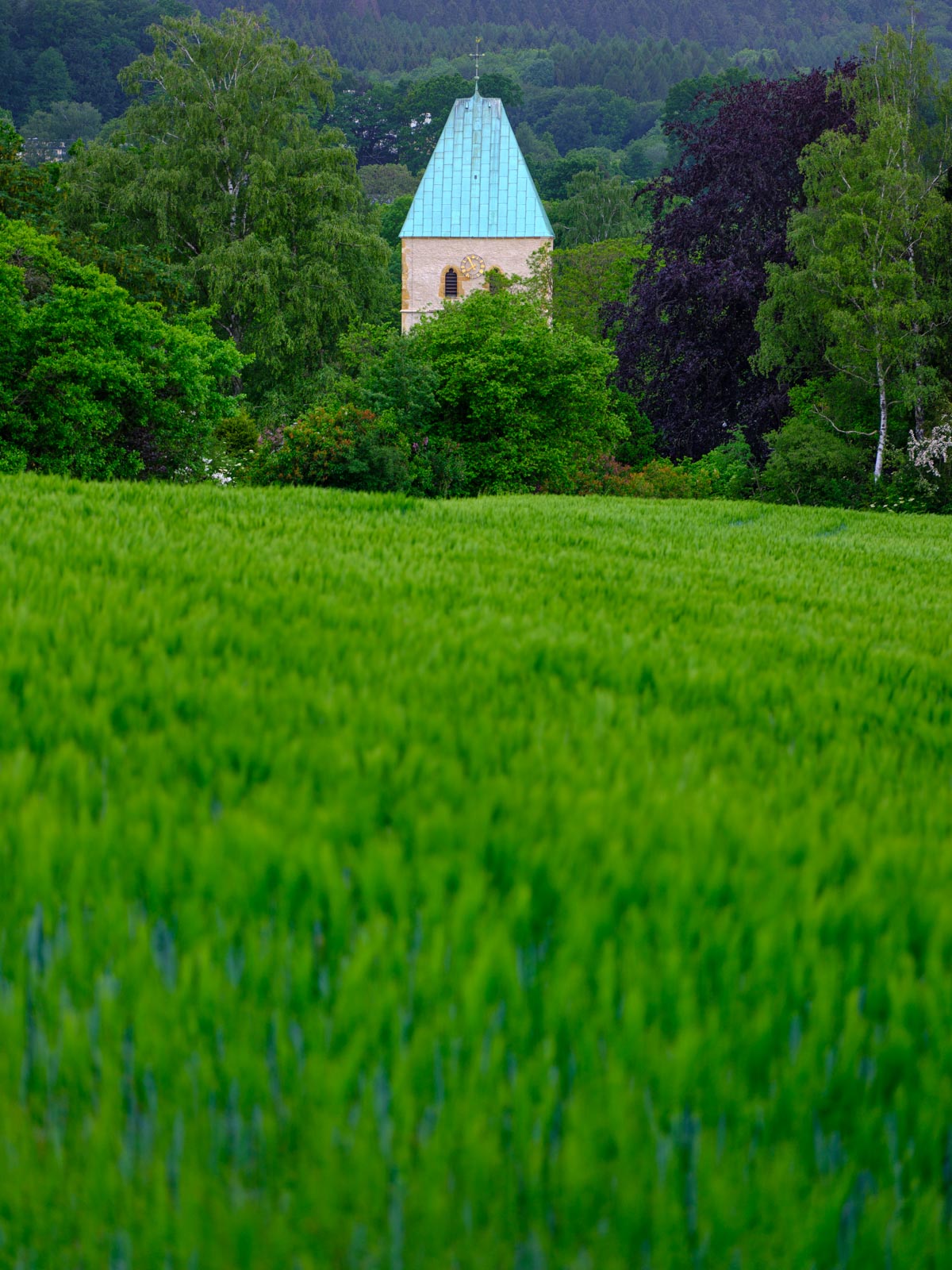 Fields and tower of the church 'St. Peter zu Kirchdornberg' (Bielefeld, Germany).