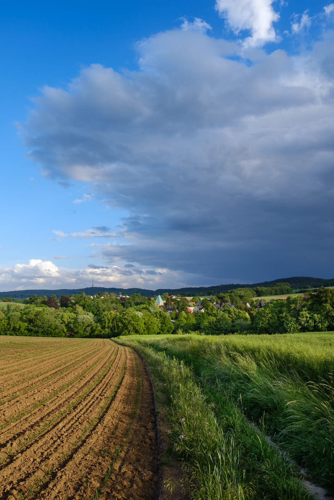 Rising thunderclouds over 'Krichdornberg' in May 2020 (Bielefeld, Germany).