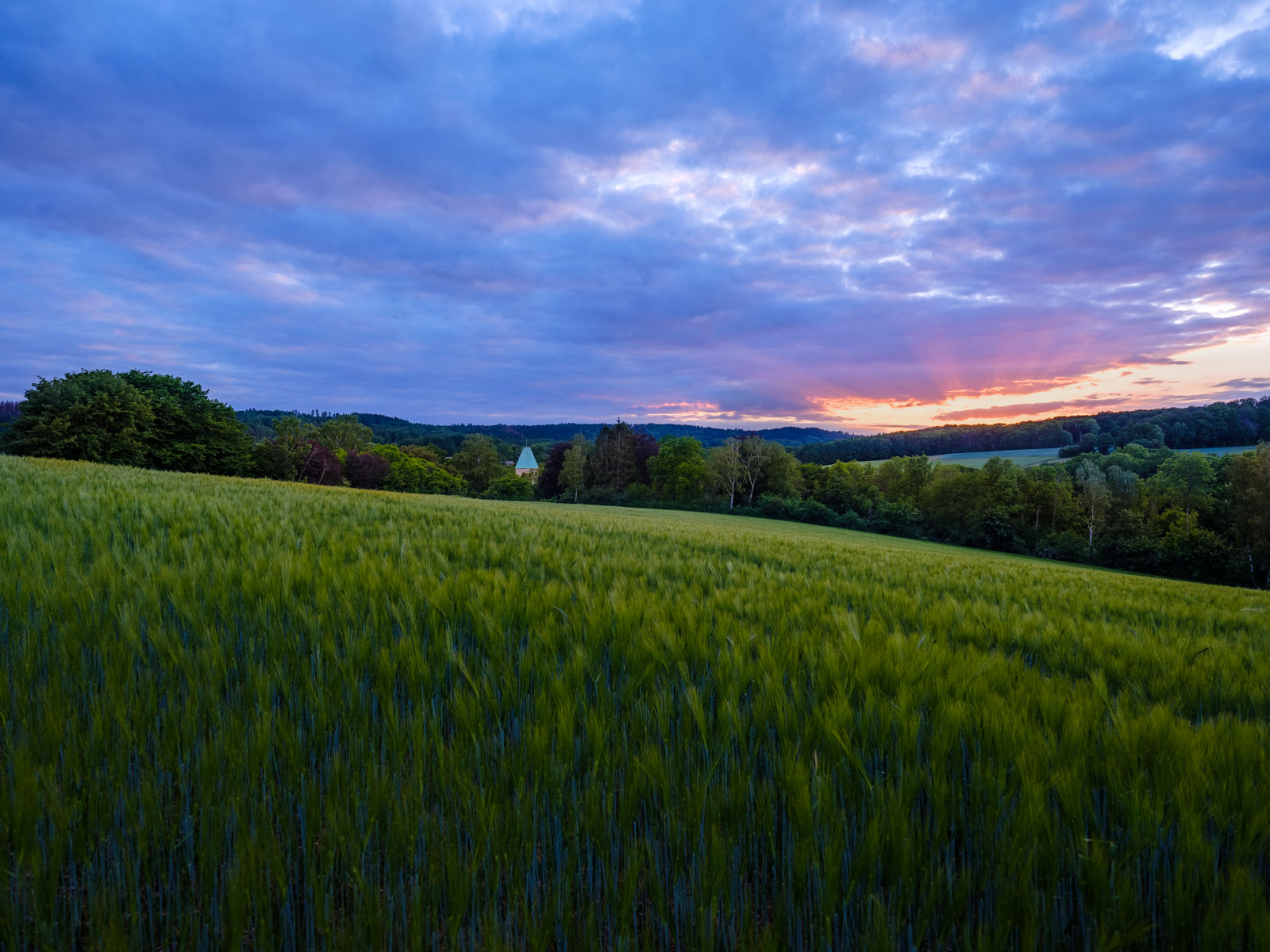 Spring evening in the fields at 'Kirchdornberg' in May 2020 (Bielefeld, Germany).