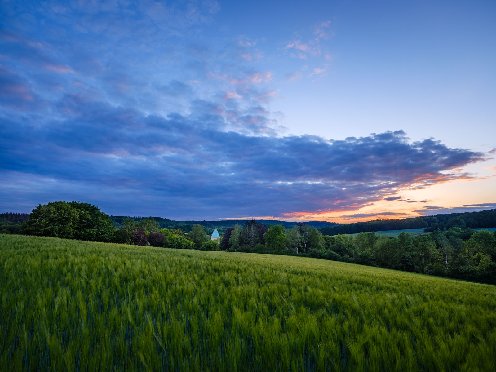 Spring evening in the fields at 'Kirchdornberg' in May 2020 (Bielefeld, Germany).