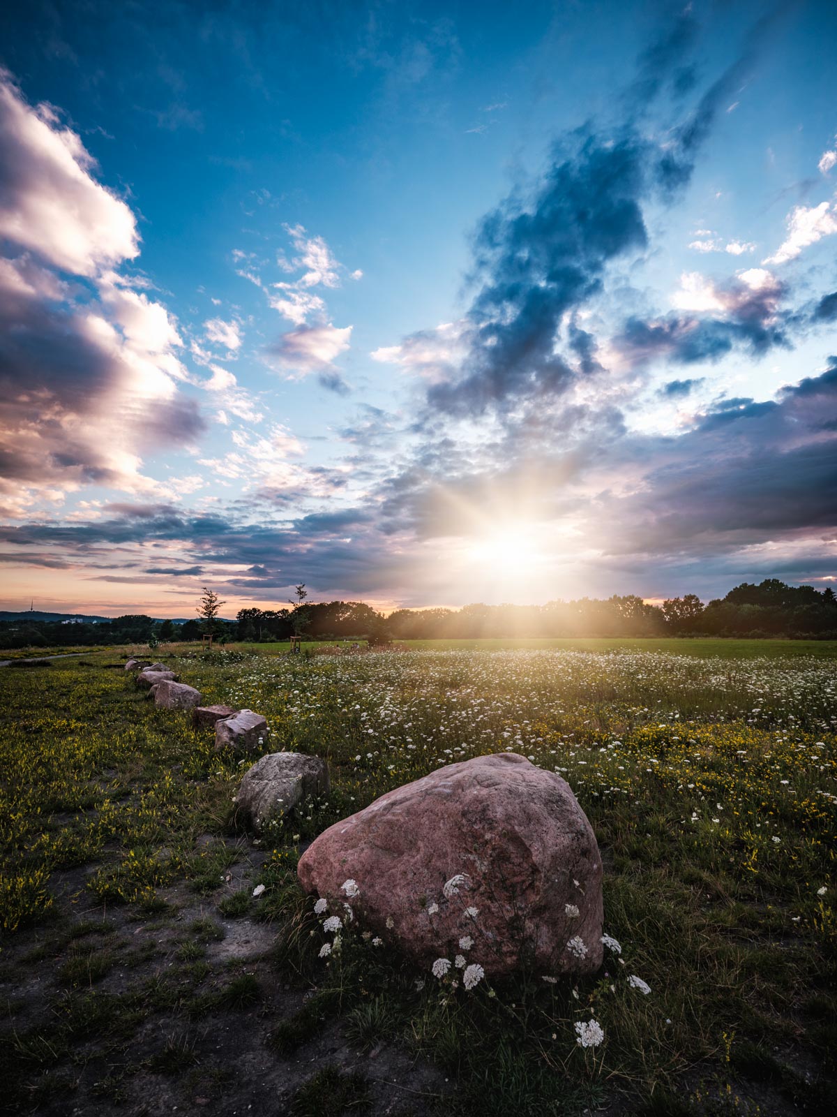 Landscape with erratic rocks at dusk in July 2020 (Bielefeld, Germany).