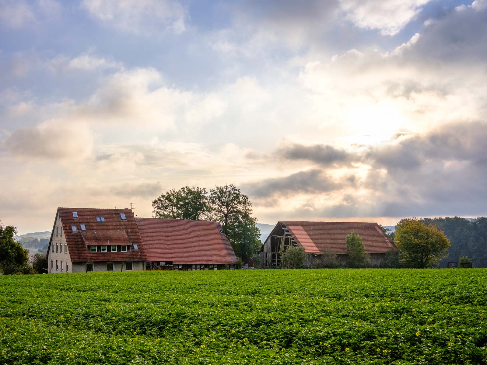 Farmhouse at 'Kirchdornberg' in October 2020 (Bielefeld, Germany)..