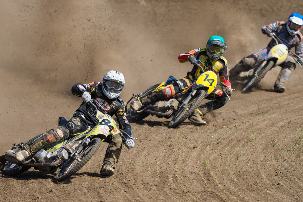 Grasstrack racing at Leineweberring on May 28, 2017.