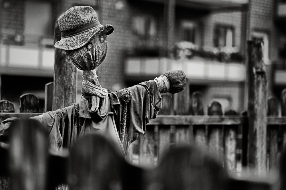 urban scarecrow