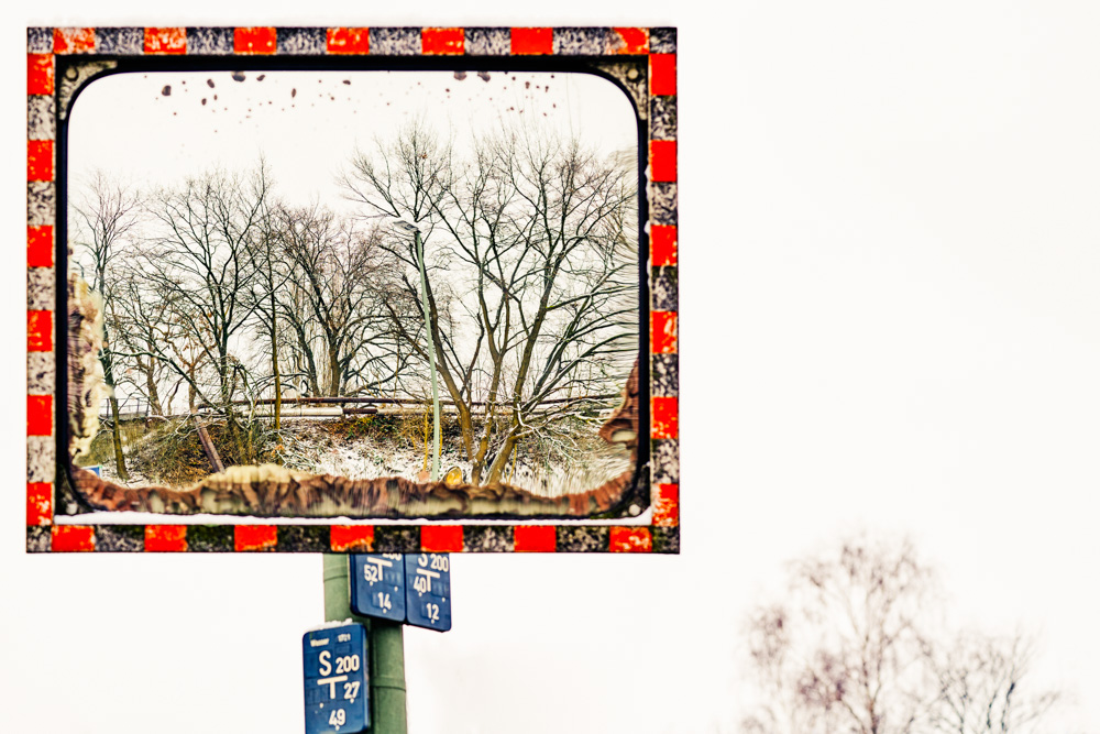 winter - trees on january 17, 2016 in bielefeld