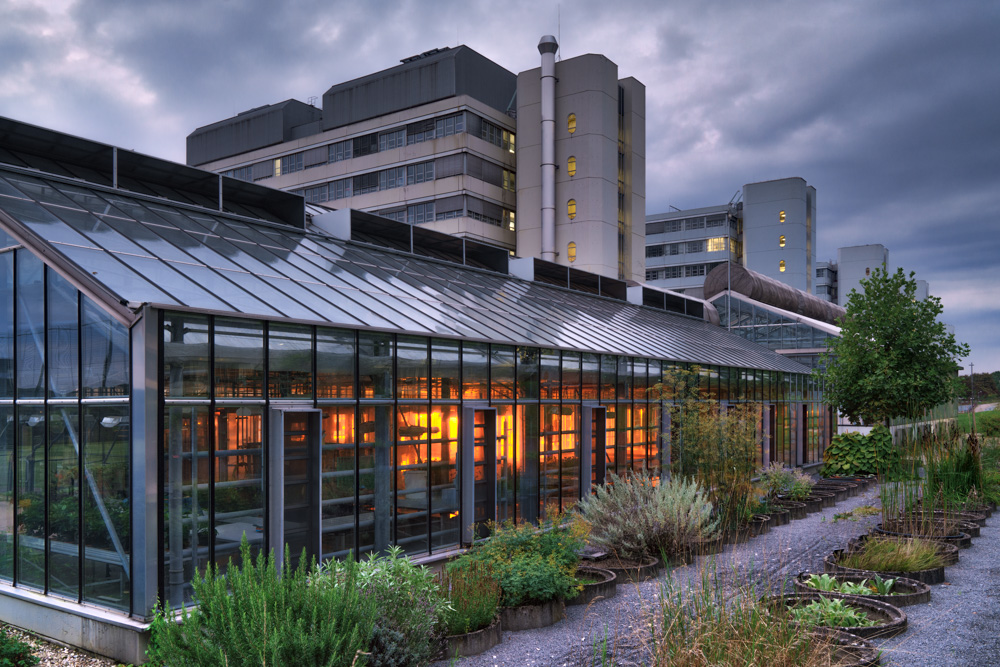 Glasshouse (Bielefeld University)