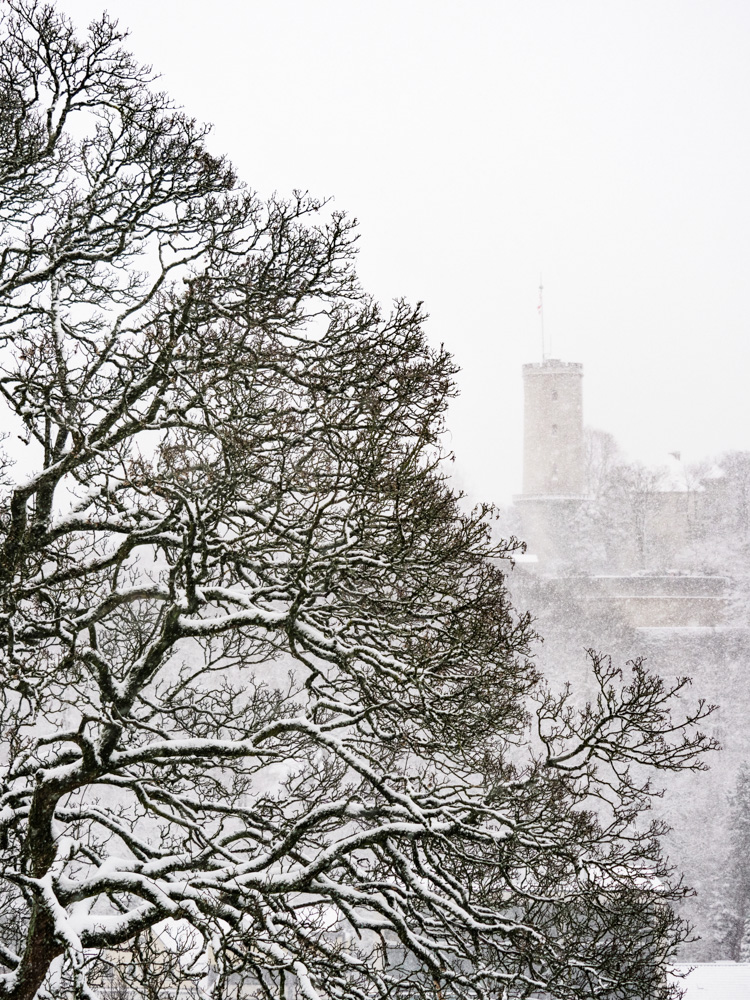 Snowstorm at Sparrenburg Castel in Bielefeld