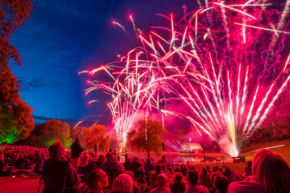 vielHarmonie 2019 - Feuerwerk in the Bürgerpark