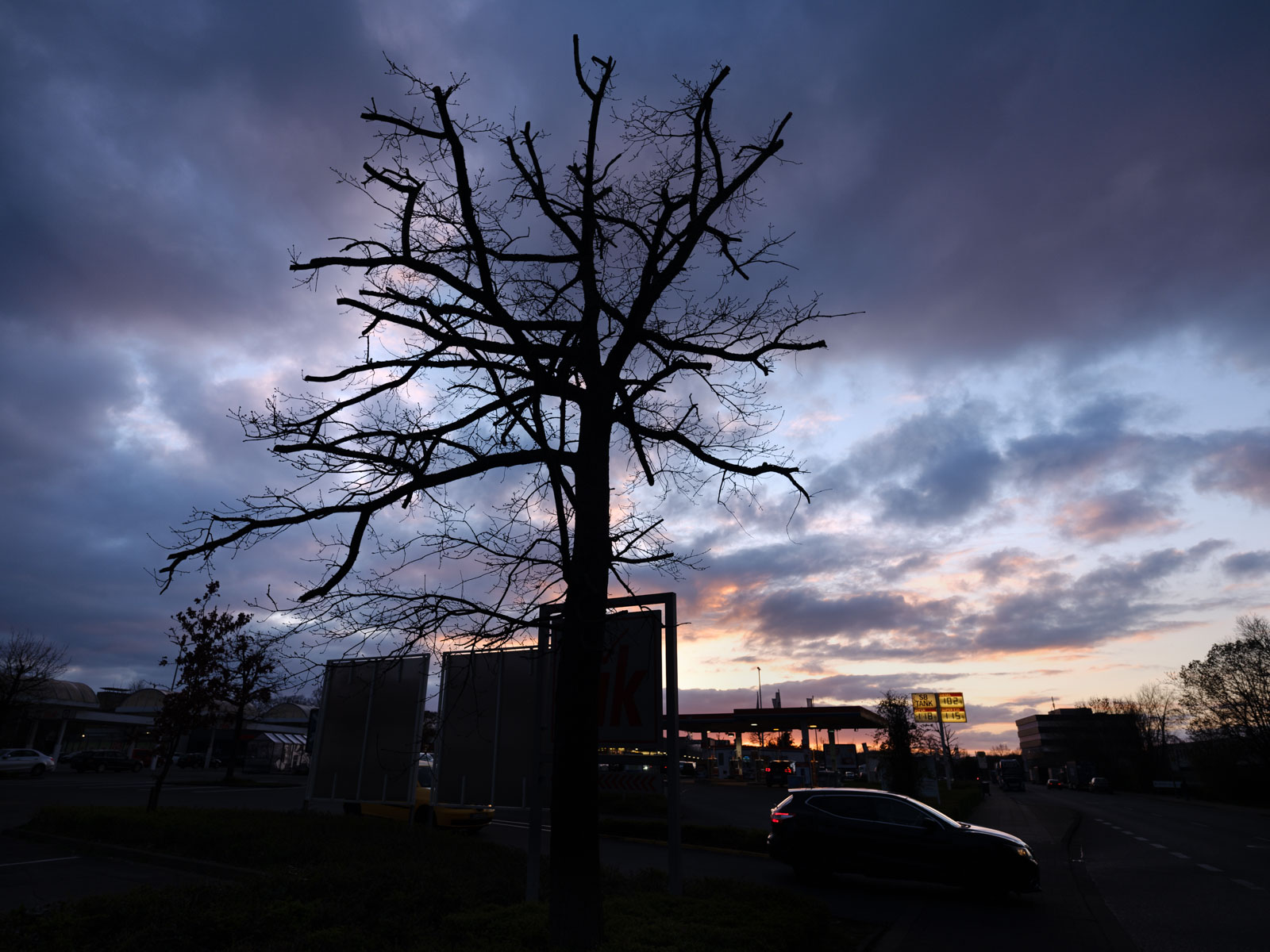 Tree & sky at 'Schweriner Straße' in Bielefeld-Stieghorst (Germany).