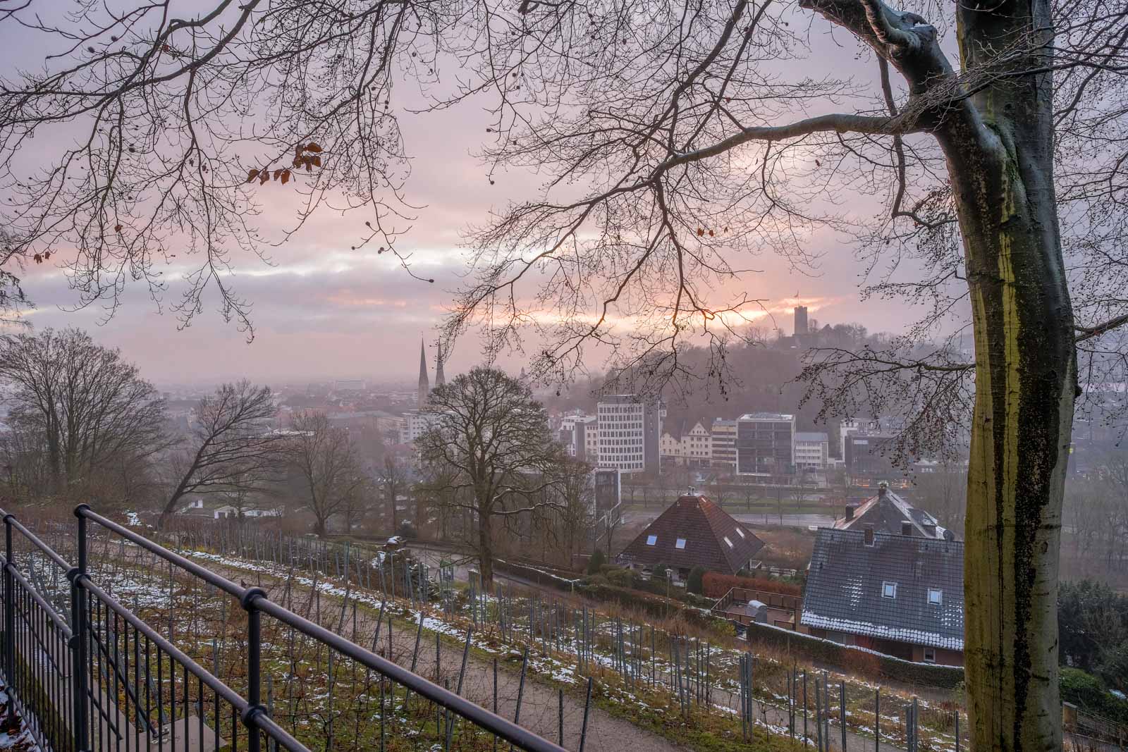 Winter morning in January 2021 on the 'Johannisberg' shortly after sunrise (Bielefeld, Germany).