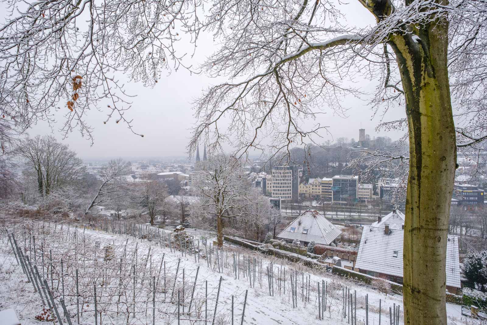 Snow on the 'Johannisberg' on January 24, 2021 (Bielefeld, Germany).