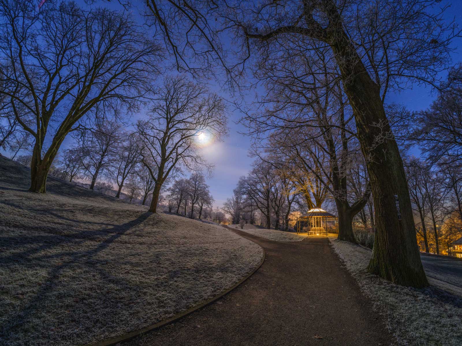 Moonlight in winter park at the 'Johannisberg' (Bielefeld, Germany).