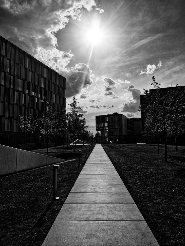 sun over the thyssenkrupp campus